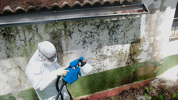 Top rated local Crawl Space Mold Remediation specialists in Rocky Ridge, MD